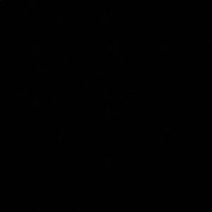 Meet your Posher, Lexie